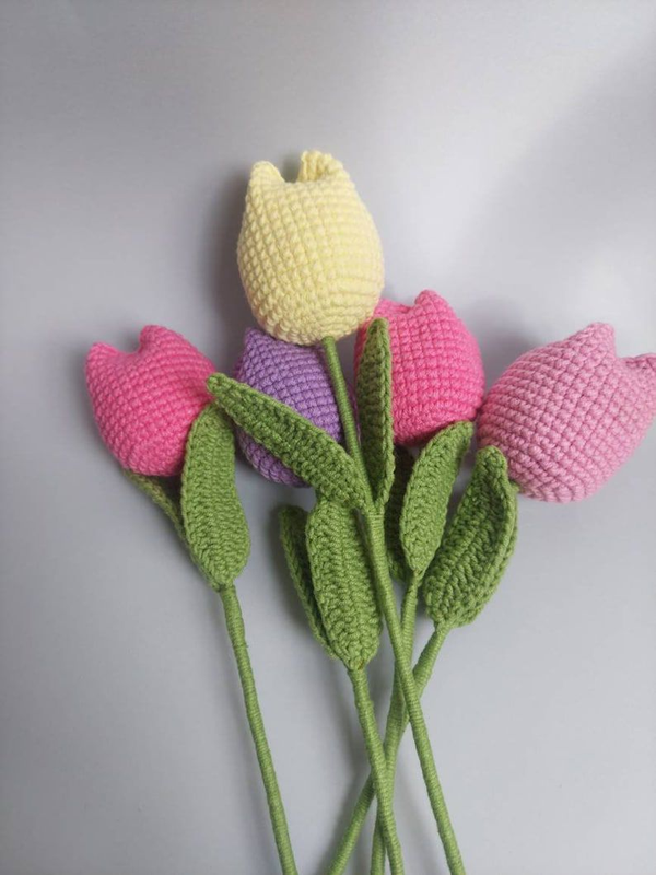 1000020881_444dfd93-79d9-4e5f-a7b0-b4af17cea32b-4x