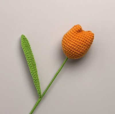 1000020888_7fbbdcae-3d7a-4c49-8022-d842f68b4ad9-4x